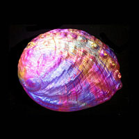 Cast Glass / Abalone / Purple / 3.75”