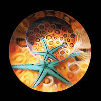 Lampworked / Starfish / Coral / Yellow / 2.5”