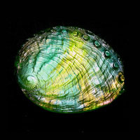 Cast Glass / Abalone / Green / 3.75”