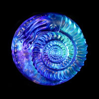 Cast Glass / Ammonite Z+ / Blue / 4.25”