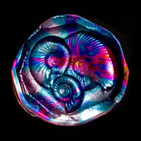 Cast Glass / Ammonites / Backlight / 4.5”