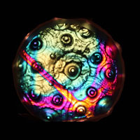 Cast Glass / Sea Urchin Sputnik / Backlight