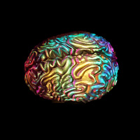 Cast Glass / Brain / 3.5”