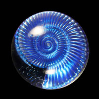 Lead Crystal Cast Glass / Ammonite N / Blue