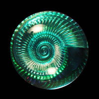 Lead Crystal Cast Glass / Ammonite N / Green