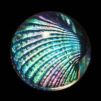 Lead Crystal Cast Glass / Andara Shell / Blue / 3”