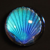 Lead Crystal Cast Glass / Scallop / Blue / 3”