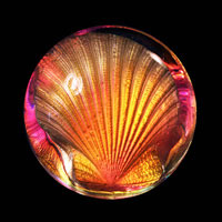 Lead Crystal Cast Glass / Scallop / Yellow / 3”