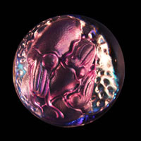 Lead Crystal Cast Glass / Squid N / Purple / 3”