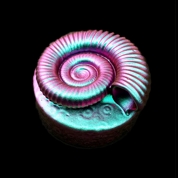 Cast Glass / Ammonite / Colorshift / 3.2”